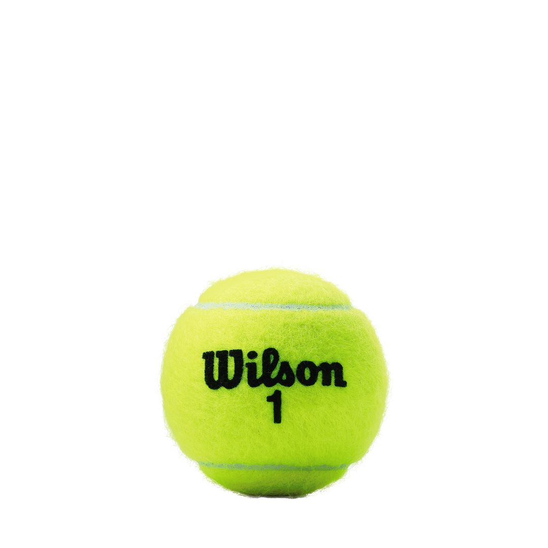 Wilson Championship Regular Duty Tennis Case |  24 cans  | 72 balls